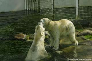 Tierpark Neumünster – Bild 2