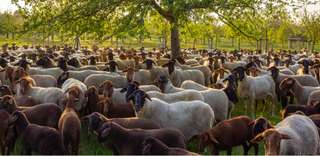 Stiftungshof – Bild 2