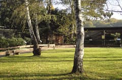 Greifvogelschutzstation Gut Leidenhausen – Bild 2