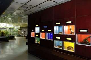 Terrarium & Insektarium – Bild 1