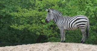 Tierpark Cottbus – Bild 5