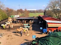 Ramona Burmester - Erlebnisbauernhof Burmester – Bild 2