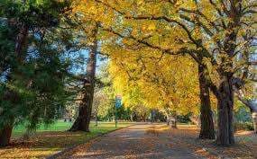 Applegreen Park – Bild 3