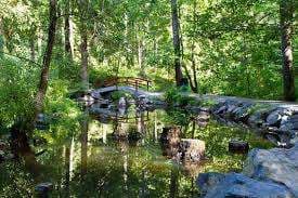 Applegreen Park – Bild 6