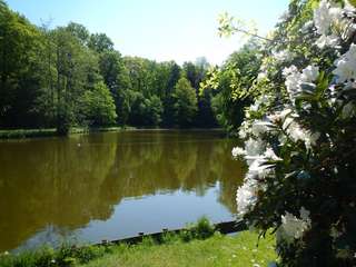 Bürgerpark – Bild 1