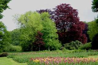 Bürgerpark – Bild 4