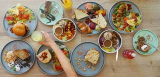 Katzentempel Minden – Bild 2