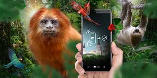 Kölner Zoo – Bild 5