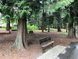 Larch Park – Bild 1