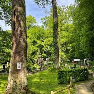 Minigolfplatz Loose – Bild 3