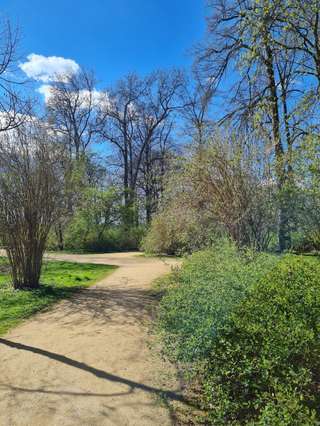 Rosenwiese – Bild 1