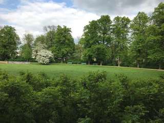 Rosenwiese – Bild 2