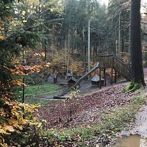 Rosenwiese – Bild 4