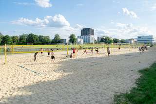 Fußballplatz und Netzspinne – Bild 3