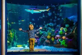 SEA LIFE Oberhausen – Bild 1