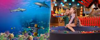 SEA LIFE Oberhausen – Bild 4