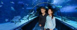 SEA LIFE Oberhausen – Bild 6
