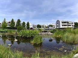 Parc de la broye – Bild 3