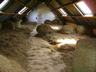 Heuhotel Davert Karnickelhof - Maria Egger – Bild 2