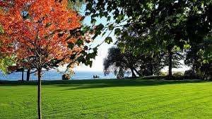 Paletta Lakefront Park – Bild 1