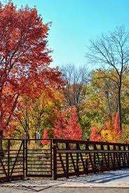 Paletta Lakefront Park – Bild 5