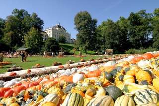 Blühendes Barock Gartenschau Ludwigsburg – Bild 5