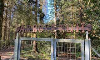 Wildpark Dünnwald – Bild 5