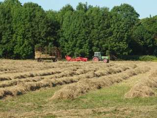 Bauernhof Schulte-Göcking – Bild 3