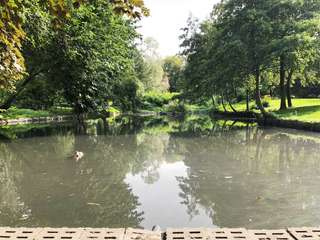 Erlbruchpark – Bild 2