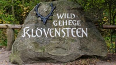 Wildgehege Klövensteen – Bild 3