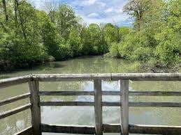 Boisé Park – Bild 1