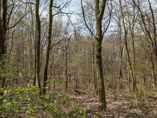 Nordlager – Bild 6