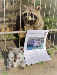 Tiergehege im Kaisergarten – Bild 3