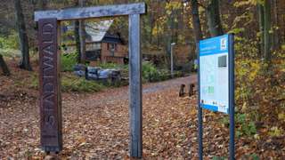 Geraer Stadtwald – Bild 4