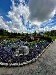 Terry Hughes Park – Bild 2