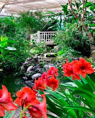 Garten der Schmetterlinge Schloss Sayn – Bild 1