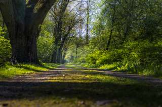 Rüstringer Stadtpark – Bild 4