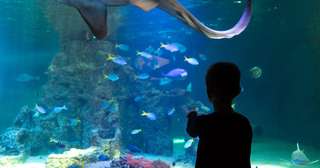 Aquarium Wilhelmshaven – Bild 1