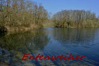 Entenweiher – Bild 1