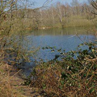 Entenweiher – Bild 5