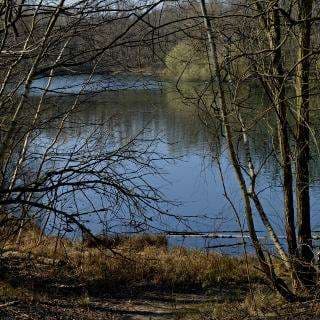 Entenweiher – Bild 6