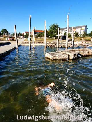 Murmelbahn XXL Himmelgarten – Bild 3