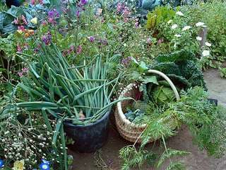 Erlebnisgarten-Hamburg – Bild 5