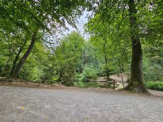 Witthausbusch – Bild 1