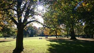 Witthausbusch – Bild 3