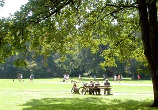 Witthausbusch – Bild 5