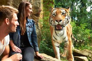 ZOOM Erlebniswelt – Bild 6