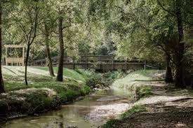Brodeur Park – Bild 6