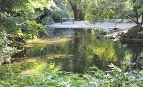 Tipperary Park – Bild 1