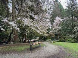 Tipperary Park – Bild 3